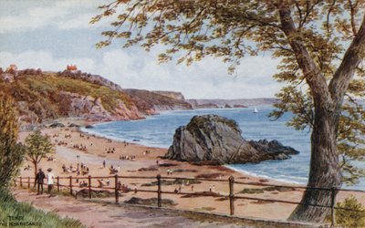 Tenby, The North Sands by Alfred Robert Quinton